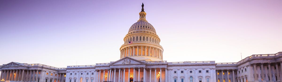 114th U.S. Congress: A Look at 2015