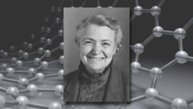 Women in Engineering (WIE) Archives - IEEE-USA InSight