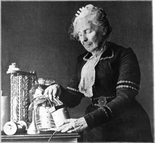 Van Pelt with electric water purification device